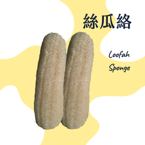 絲瓜布