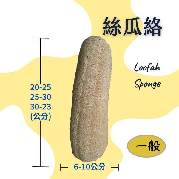 絲瓜布