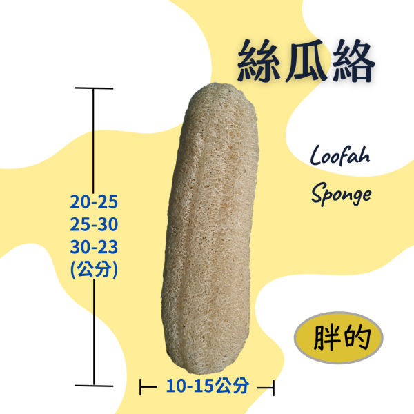 絲瓜布